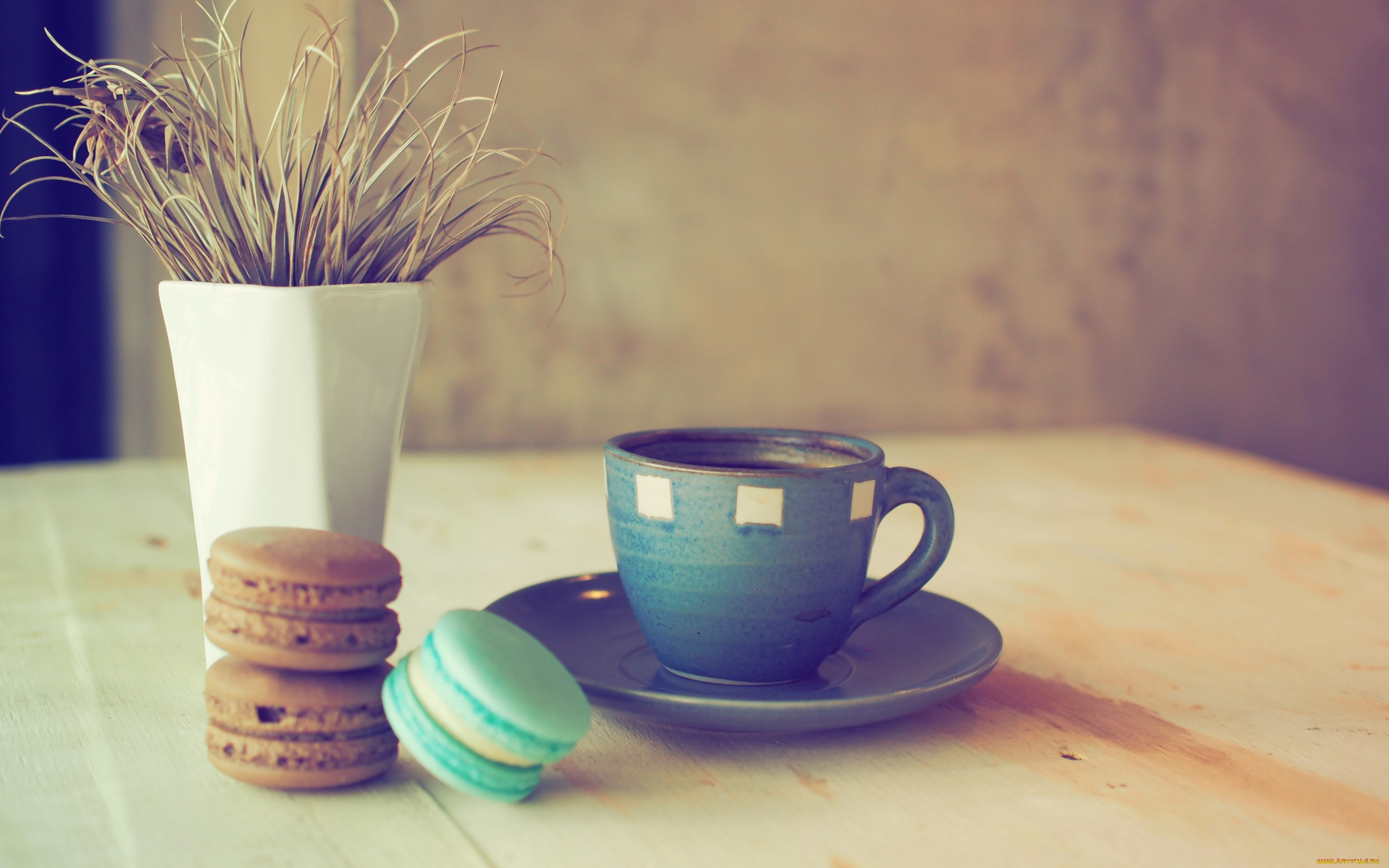 , , sweet, cookies, , , cup, coffee, colorful, dessert, almond, , macaron